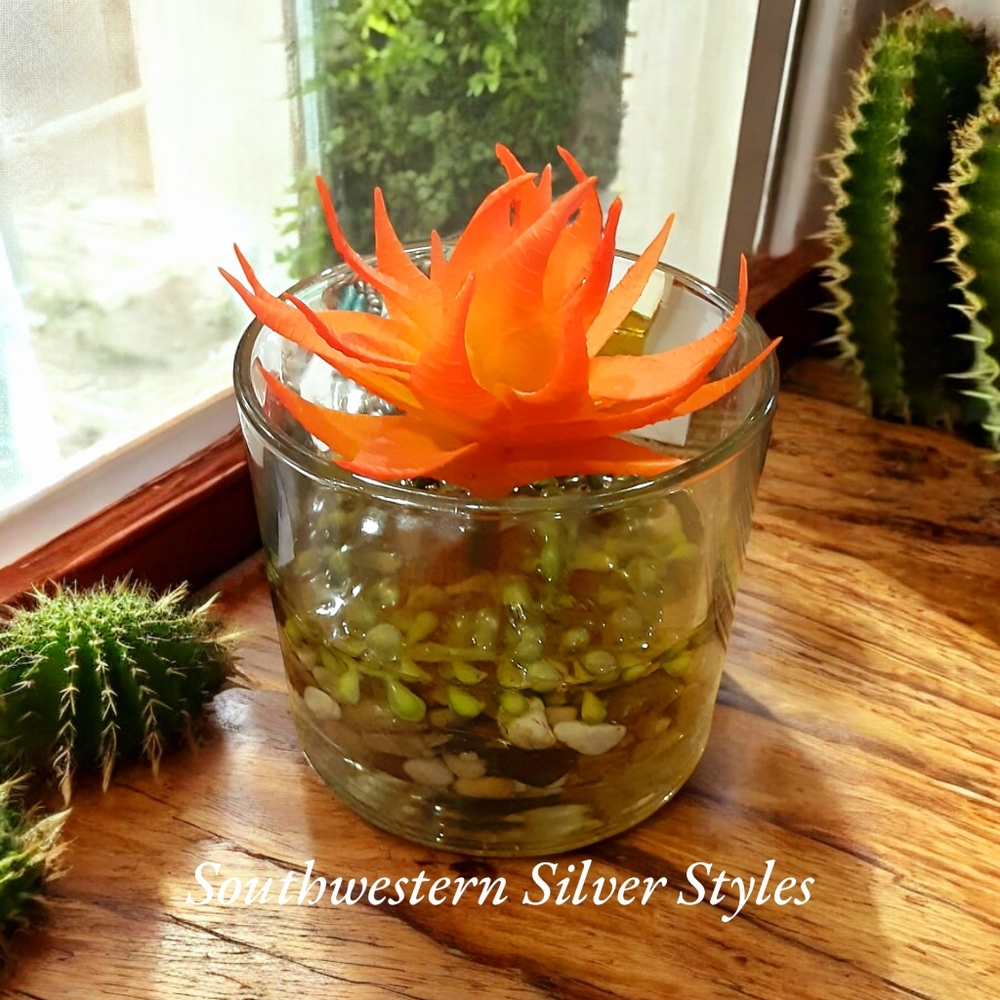 Southwestern Sonoran Desert Succulent Cactus River Rocks In Glass Vase